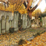 Bytom, cmentarz żydowski Nowy (kirkut)