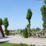 Drobnin (gm. Krzemieniewo), parish cemetery (pl)