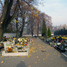 Piekary Śląskie, parish cemetery (pl)