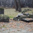 Mysłowice, Jewish cemetery (pl)
