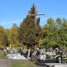 Będzin-Łagisza, parish cemetery (pl)