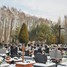 Cmentarz (pl)