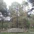 Inowłódz, WWI cemetery (pl)