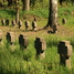 Tīnūžu pagasts, Lejastīnūžu brāļu kapi