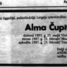 Alma Čupīte