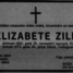 Elizabete Zīle