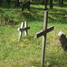 Vormsi cemetery, Vormsi, Estonia