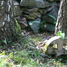 Vormsi cemetery, Vormsi, Estonia