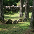 Vormsi cemetery, Vormsi, Estonia