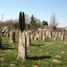 Kėdainiai, Kėdainių žydų senosios kapinės (lt)