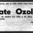 Late Ozols