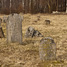 Viekšnių žydų kapinės