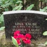 Līna Laube
