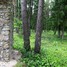 Staburaga pagasts, Dopeļu kapi