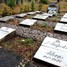 Graves of Lithuanian resistance fighters