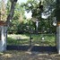 Gogolin, evangelical cemetery (pl)