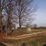 Radgoszcz-Zadębie, cmentarz wojenny nr 245 z I wojny światowej