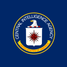 The Central Intelligence Agency are established in the United States under the National Security Act