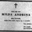 Milda Andriņa