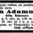 Līza Adamuitis Adamaitis