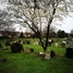 Bognor Regis Cemetery