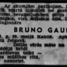 Bruno Gaulis
