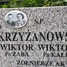 Wiktor Ciechanowicz  Krzyżanowski