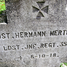 Hermann Mertens