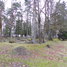 Jaunsvirlaukas pagasts, Vimbu kapi (Pūcīšu kapi, Vimbukroga kapi)