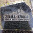 Zelma Levica