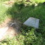 Annas Ozoliņas kapa vieta