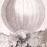 Jelgavā pacēlās pirmais zināmais "gaisa kuģošanas līdzeklis"- balons mūsdienu Latvijas teritorijā  