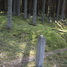 Ložmetējkalns, Tīreļpurvs, Skangaļu kapi pretī Ilgu mājām netālu no  Komandiera ceļa