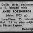 Ansis Rozenbergs