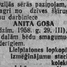 Anita Goša