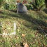 Stepiņu ģimenes kapa vieta