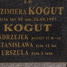 Andrzej Kogut