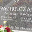 Aniela Pacholczak