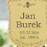 Jan Burek