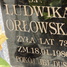 Ludwika Orłowska