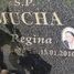 Regina Mucha
