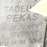 Tadeusz Bekas