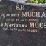Zygmunt Mucha