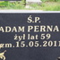Adam Pernak