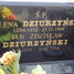 Elżbieta Dziurzyńska