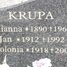 Jan Krupa