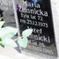 Kazimierz Chmielowiec