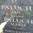 Maria Paluch