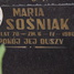 Maria Sośniak