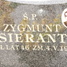 Zygmunt Sierant